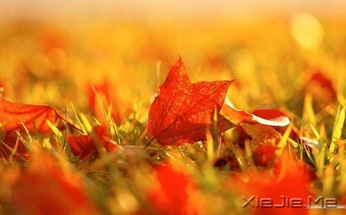 ���µĸ����������յĻ��� (5)