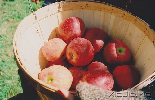 �簲������������Ե��ӵ��һ��ƽ���� (5)