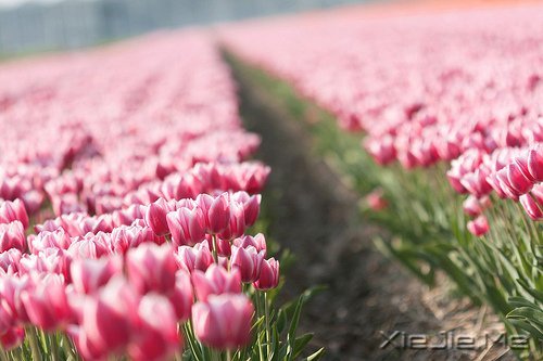 �����������Ҫ�ģ�һֱ�ܼ� (10)