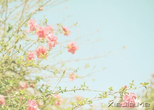 �簲����������з����꣬Ҳ������ (2)