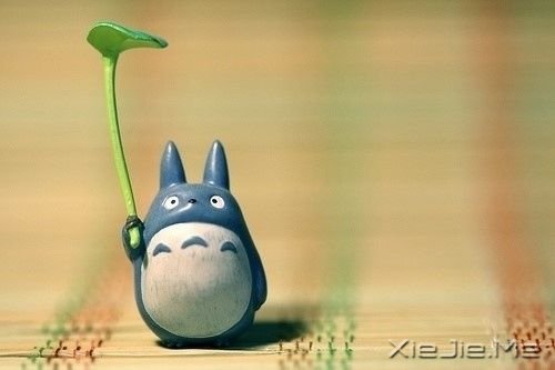 晚安心语:趁我们还有呼吸,去做你想做的事吧 (11)