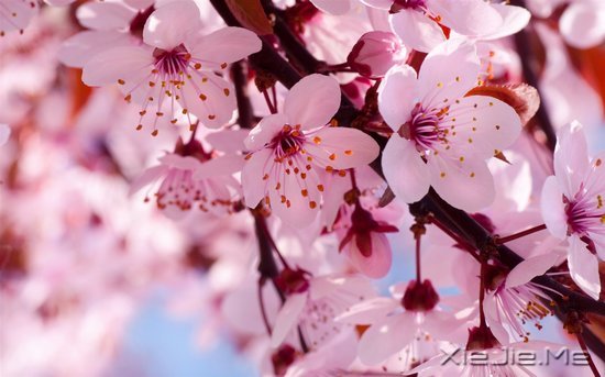 ���֣�Ҫ������ʮ���� (5)