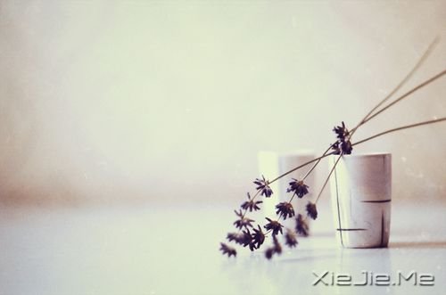 J5I7V J5I7V